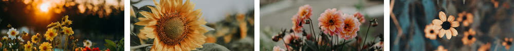 Workshops bloemen Twente Overijssel